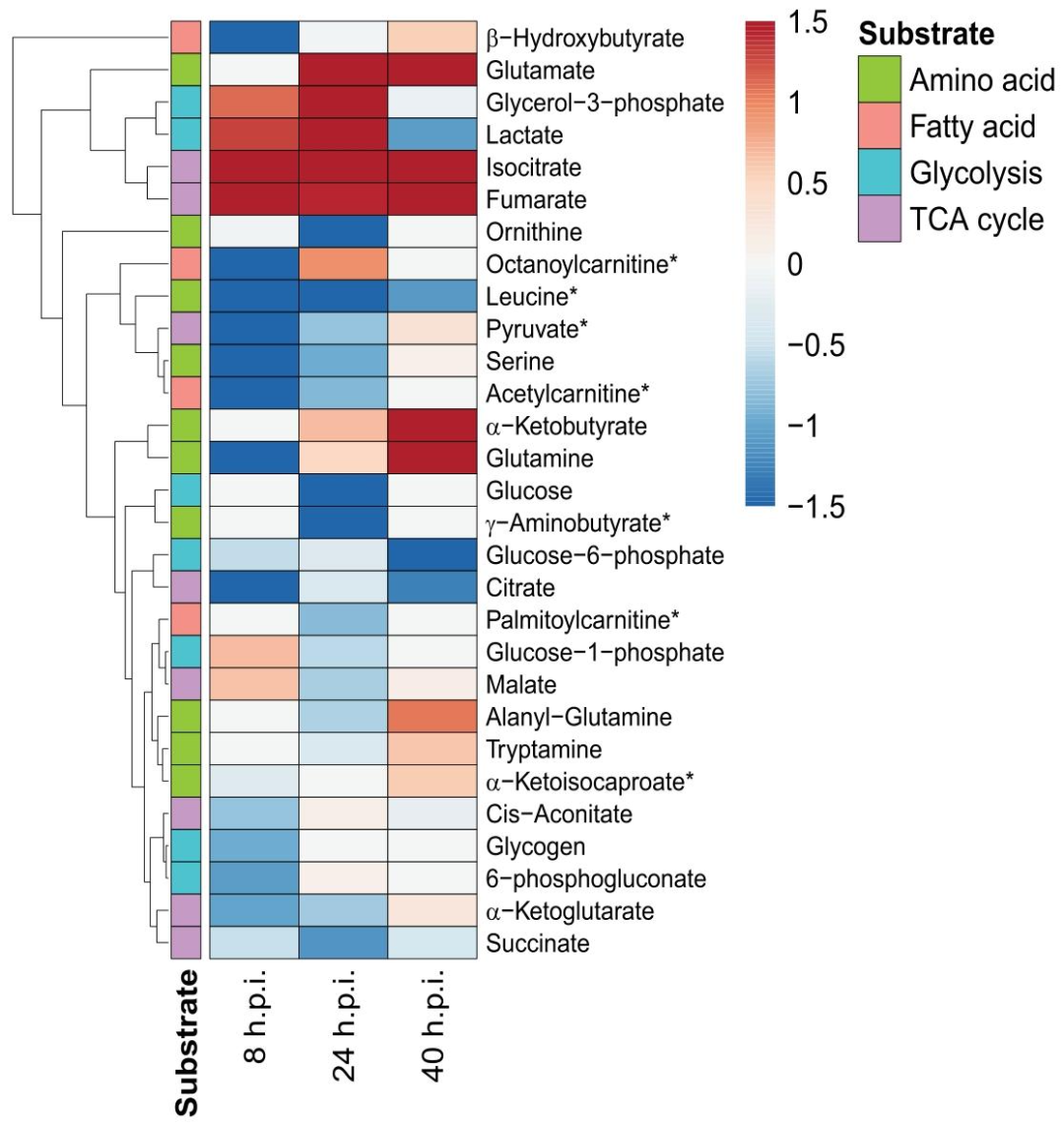 图6:MitoPlate 底物分析
