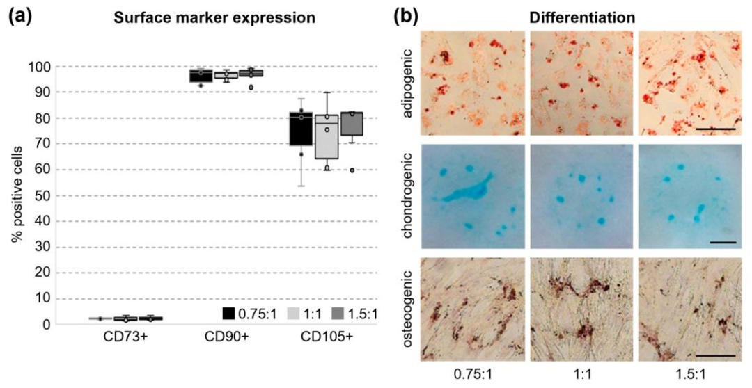 图5：UCCs 的 MSC 样特征验证