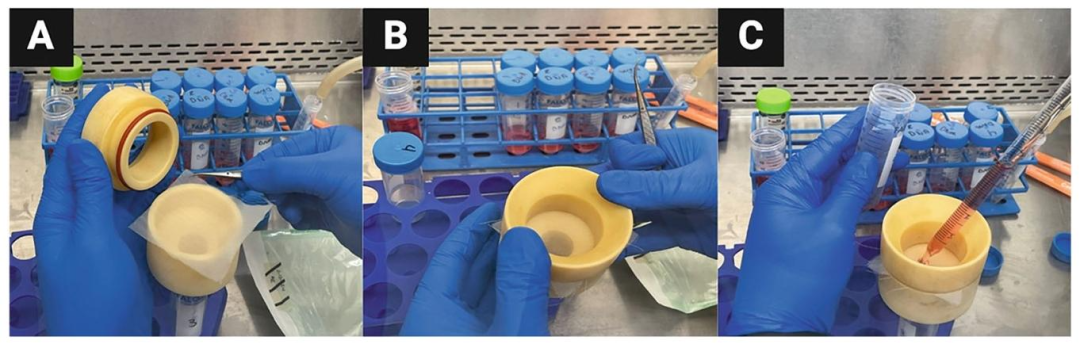 图4：SCs 过滤纯化