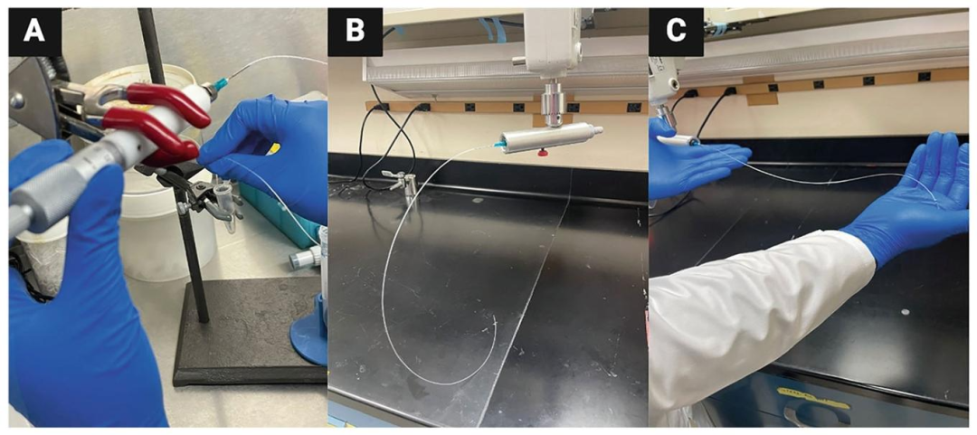 图7-8：移植前 SCs 浓缩