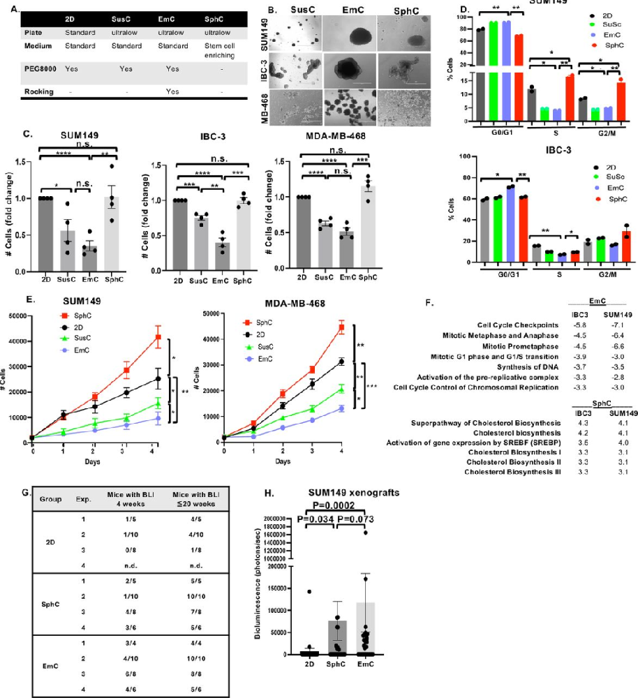 图 1：EmC 细胞增殖降低但肺转移能力增强