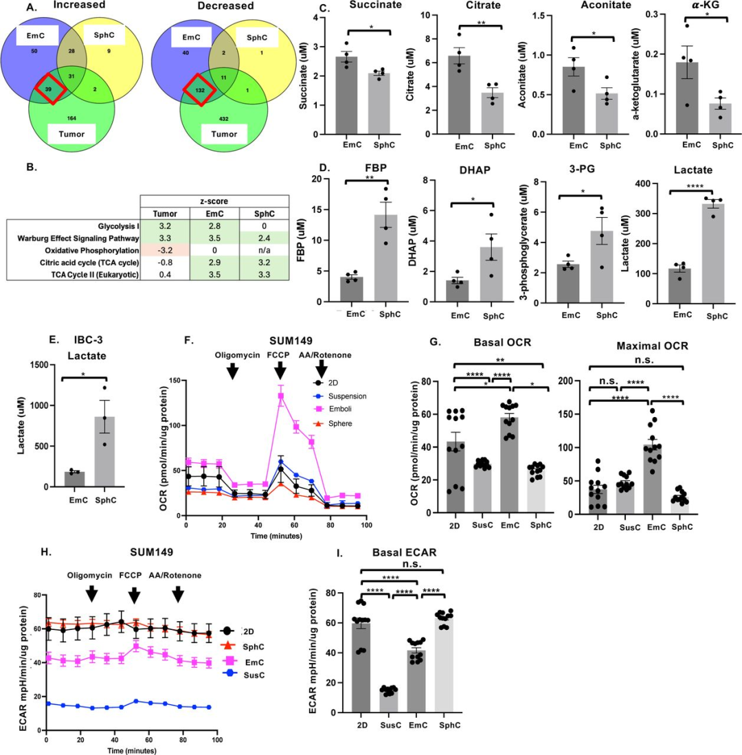 图 3：EmC 与 SphC 的代谢差异