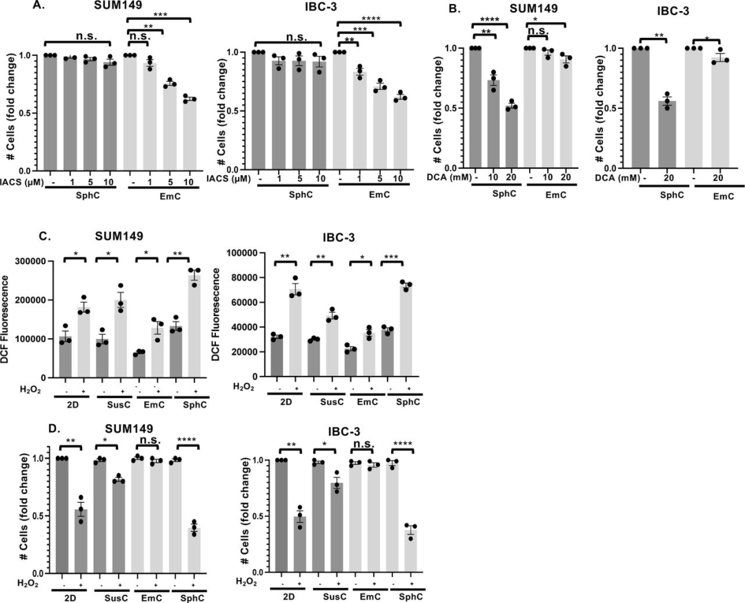 图 4：EmC 的药物敏感性与氧化应激抗性