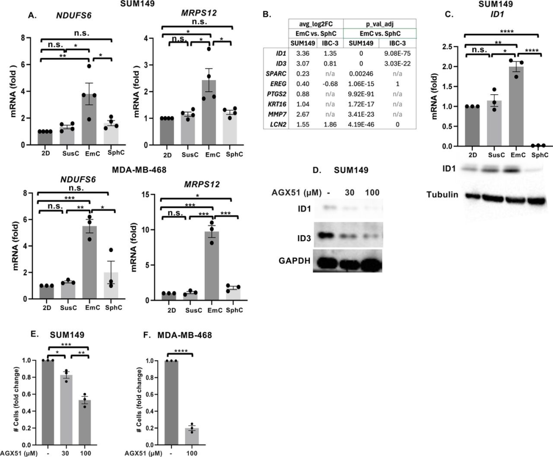 图 5：EmC 富集肺转移相关基因