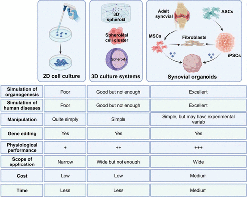 图 2：滑膜相关模型的比较