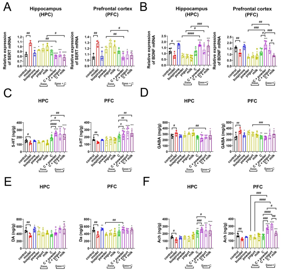 图 5:C 平衡小鼠脑内 SERT 和 BDNF 表达