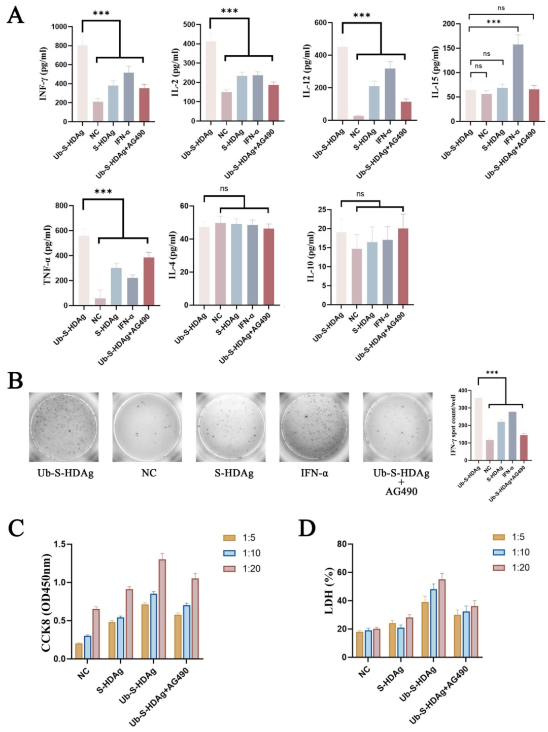 图 5:Ub-S-HDAg 增强 CD8⁺T 细胞免疫功能