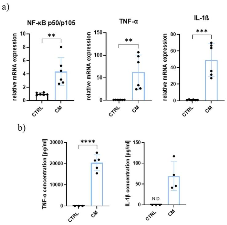 图2：PMA+LPS 刺激对 THP-1 细胞炎症标志物基因和蛋白表达的影响