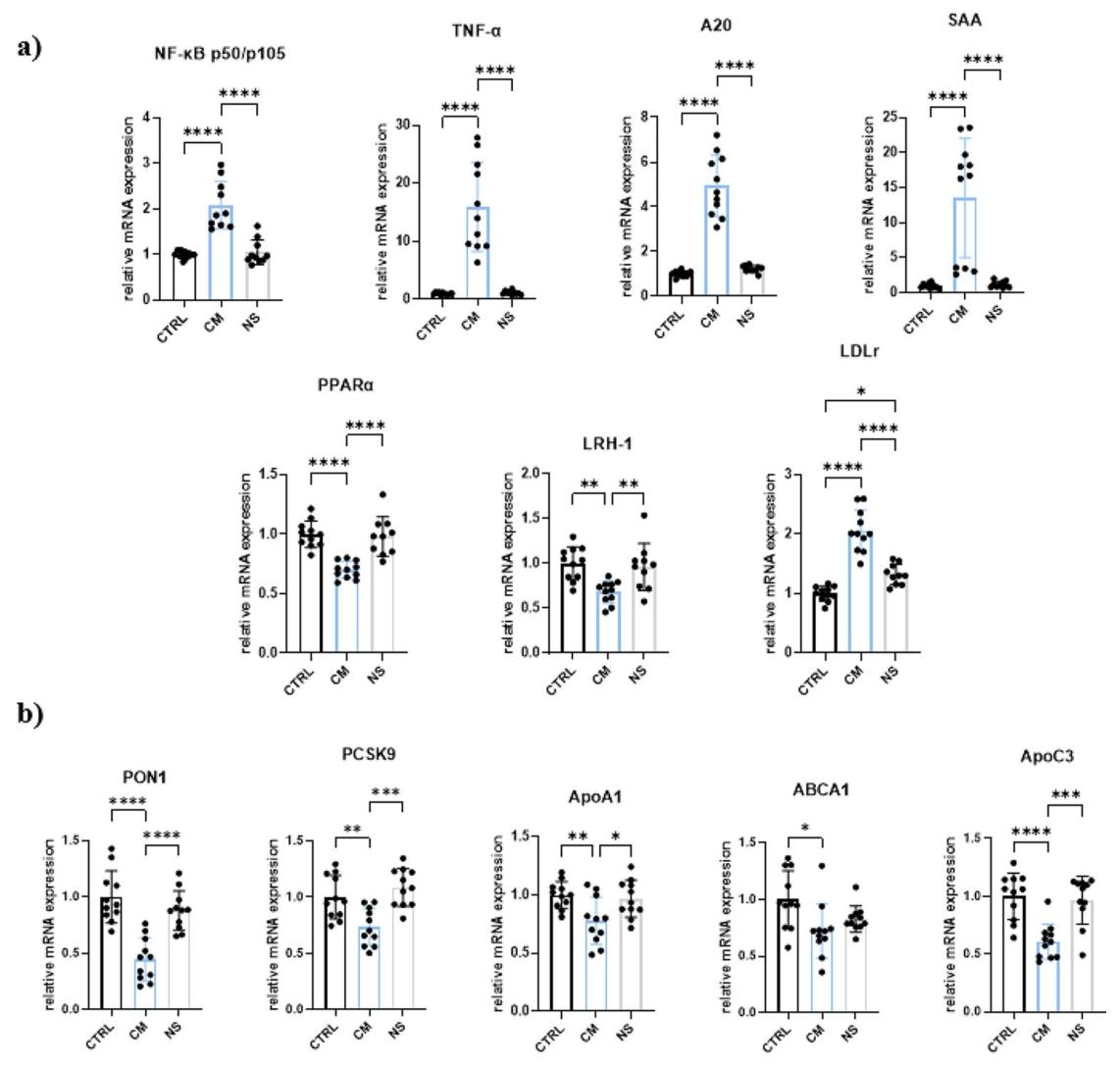 图5：未刺激的 THP-1 细胞条件培养基(NS-CM)对 HepG2 细胞基因表达的影响