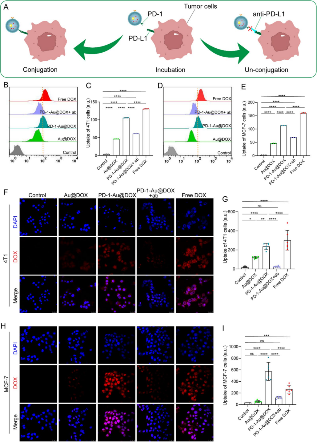 图 3 | PD-1-Au@DOX 特异性靶向肿瘤细胞
