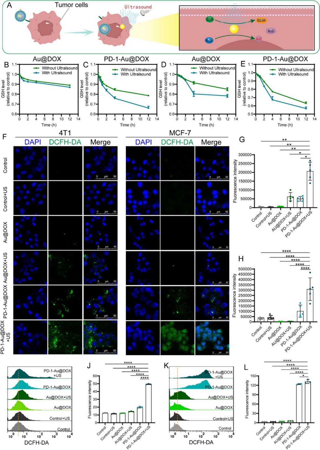 图 4 | 体外 ROS 生成