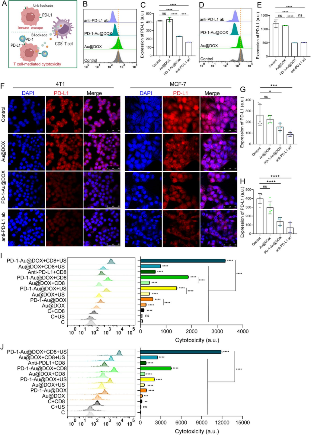 图 5 | PD-1-Au@DOX 的体外免疫检查点抑制