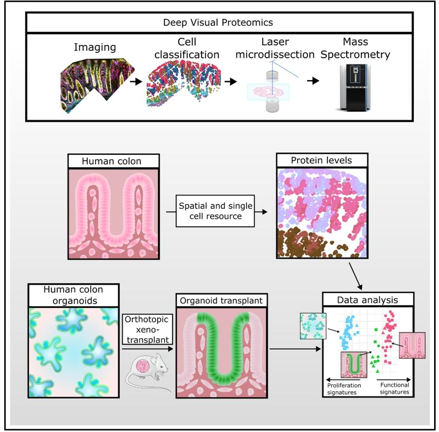 核心内容如下：