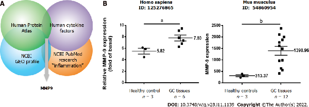 图 1:MMP-9 作为胃癌相关炎症蛋白的鉴定