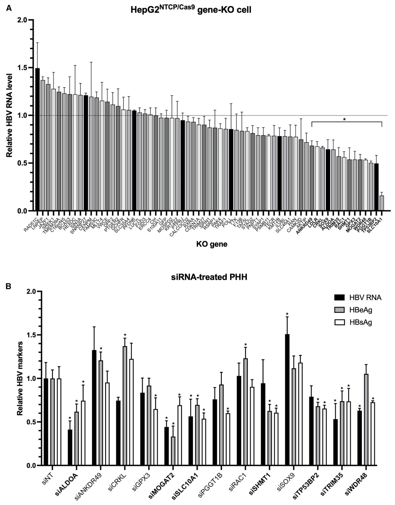 图3:HBV 感染候选宿主依赖基因的验证
