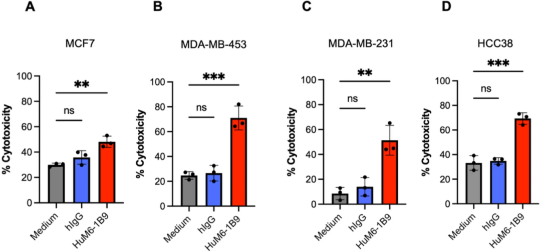 图4：HuM6-1B9 增强 NK 细胞对乳腺癌细胞的 cytotoxicity
