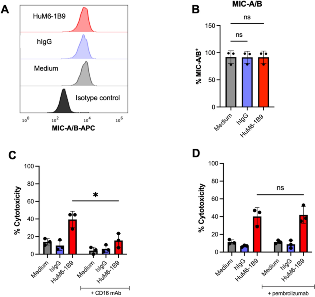 图7：HuM6-1B9 介导 ADCC 的机制与协同效应