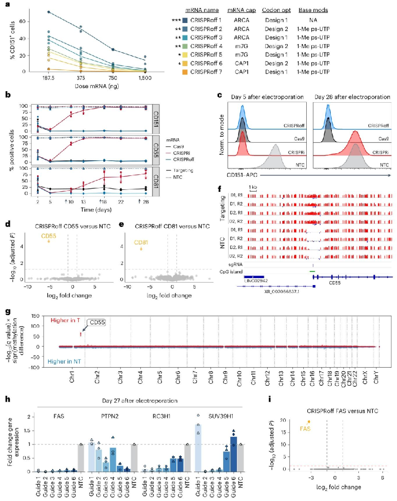 图1：CRISPRoff 在原代 T 细胞中的持久沉默与特异性