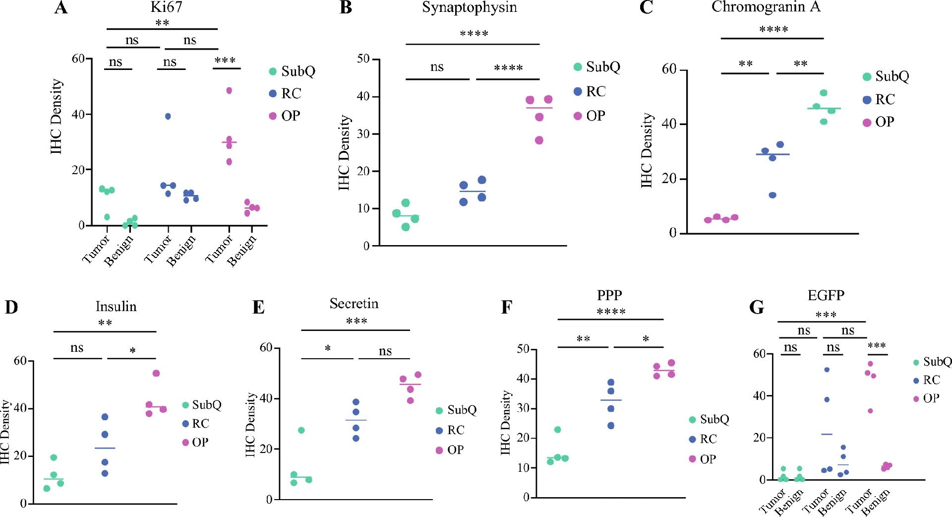 图4：三种移植模型的 IHC 标志物密度比较