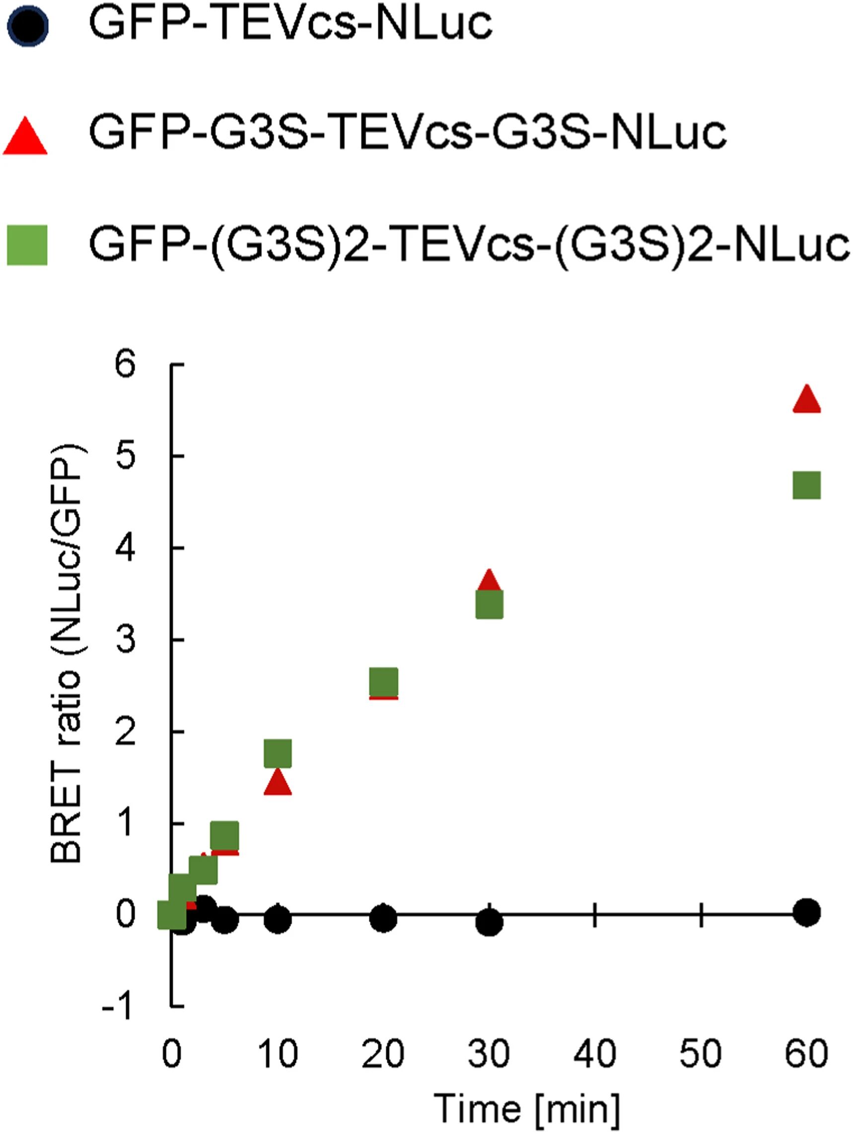 图3:TEV 蛋白酶处理后 BRET 信号的时间依赖性变化