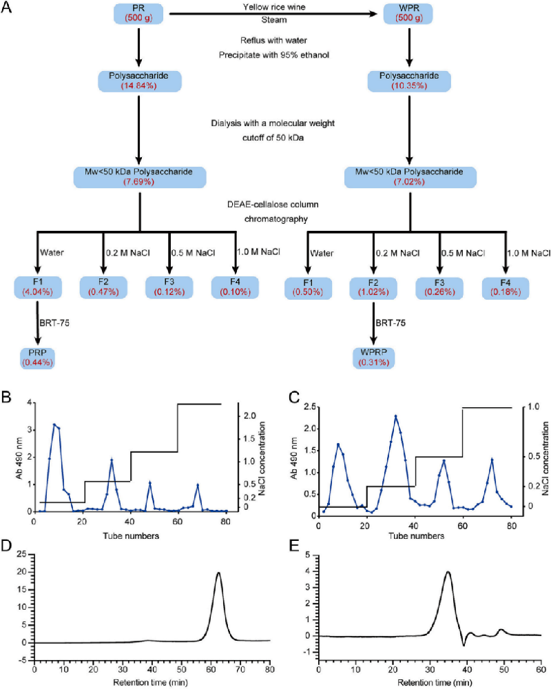 图1 | 研究概览与多糖纯化流程