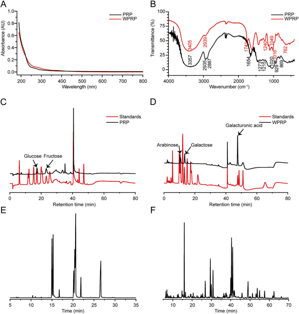 图2 | PRP和WPRP的UV-vis、FT-IR、单糖组成及甲基化分析