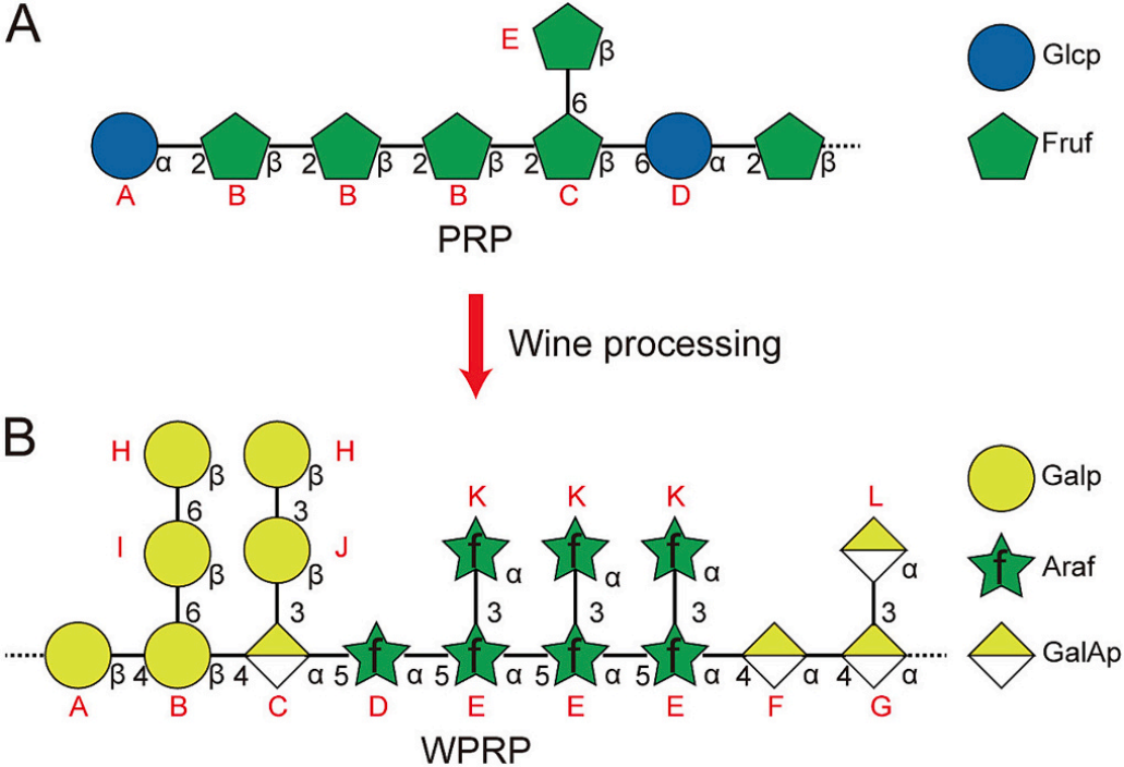 图5 | PRP与WPRP的糖结构符号表示(SNFG)对比