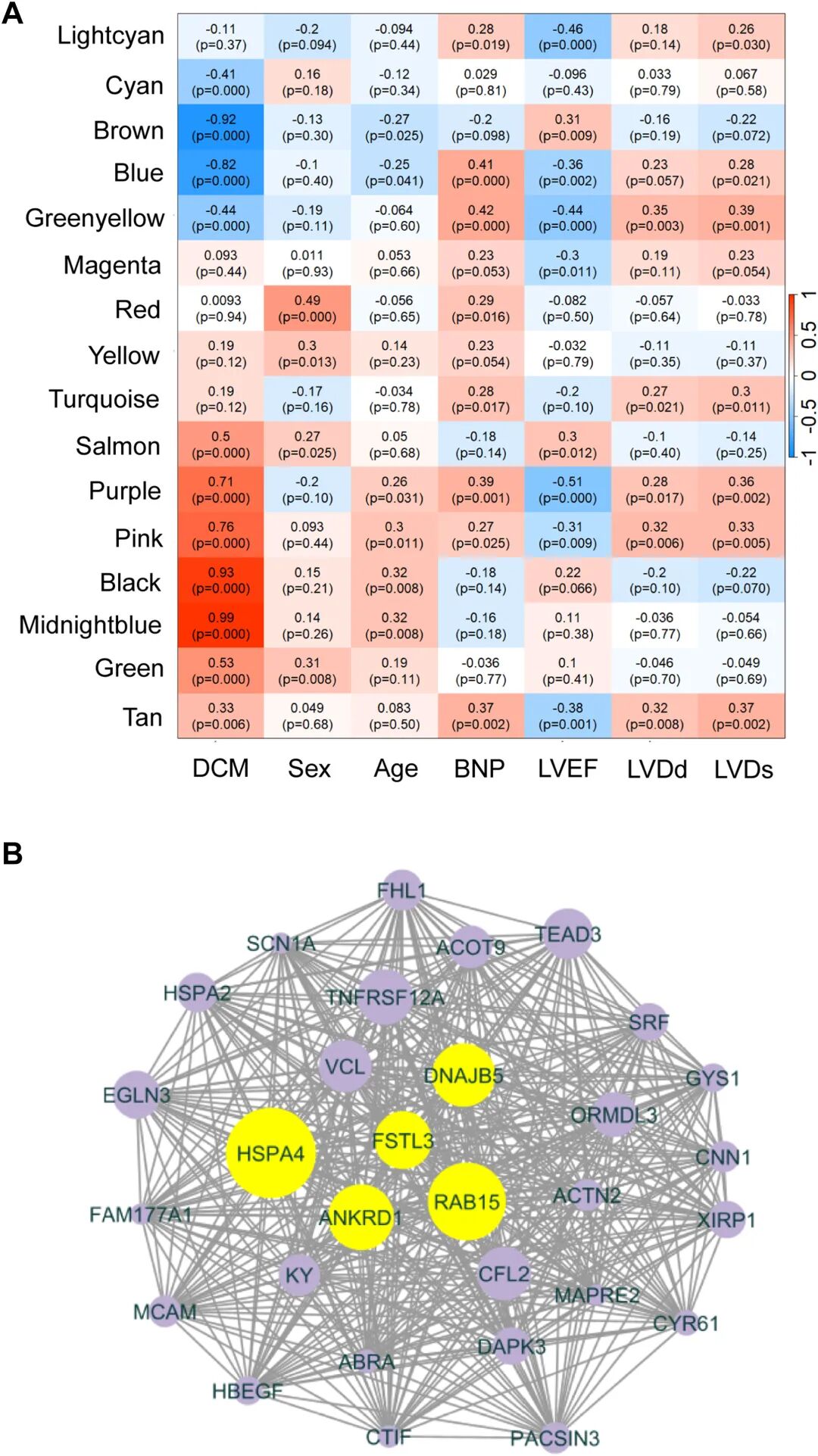 图 1:DCM 转录组模块与临床表型的关联