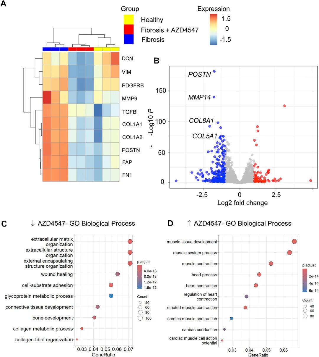 图 5:AZD4547 处理后的转录组变化