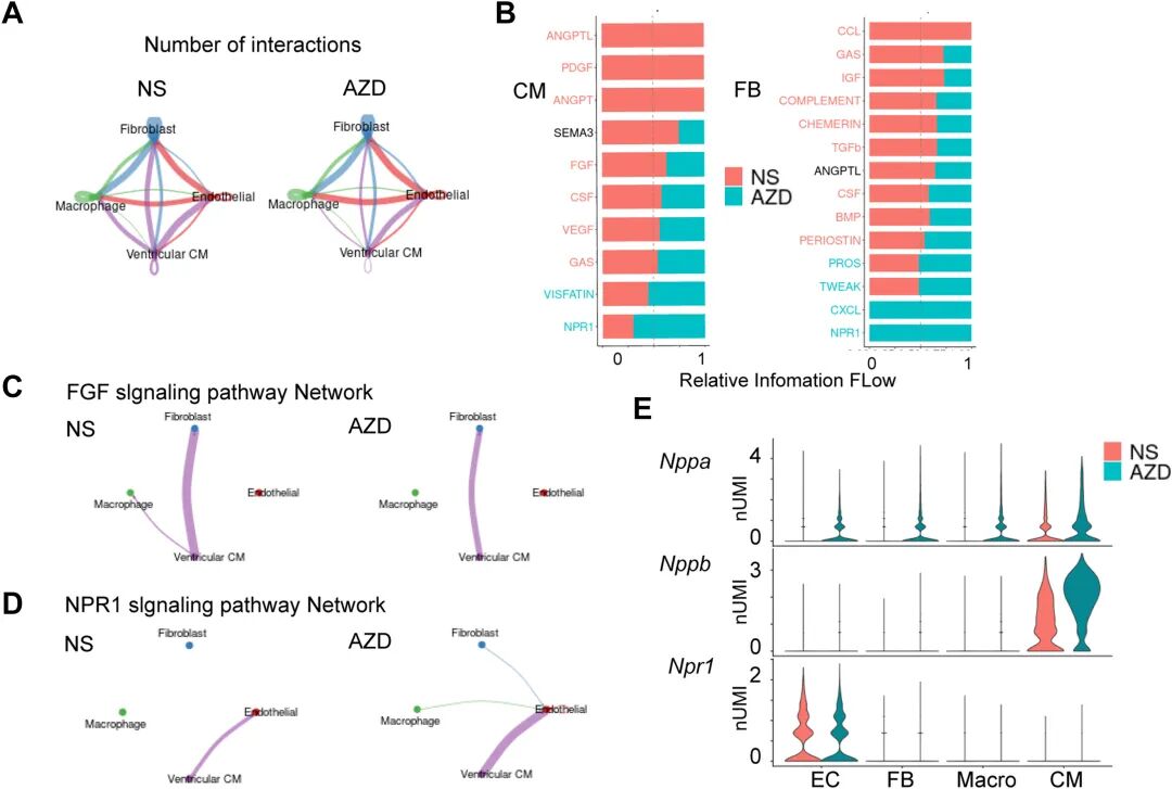 图 8:AZD4547 对细胞间信号的调控