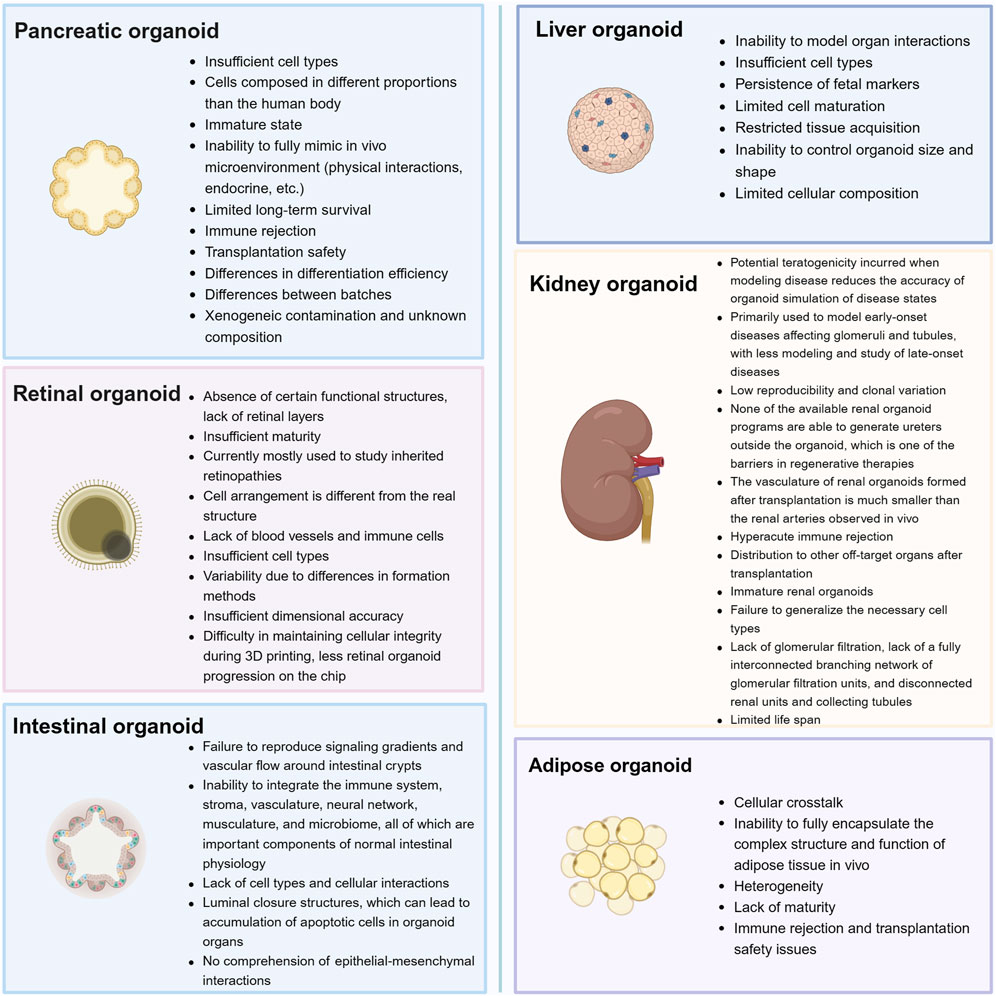 图 4：各类型类器官的现存局限