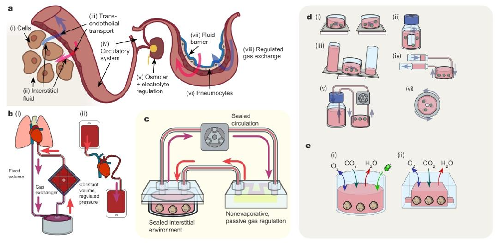 图 1:系统设计原理与现有技术对比