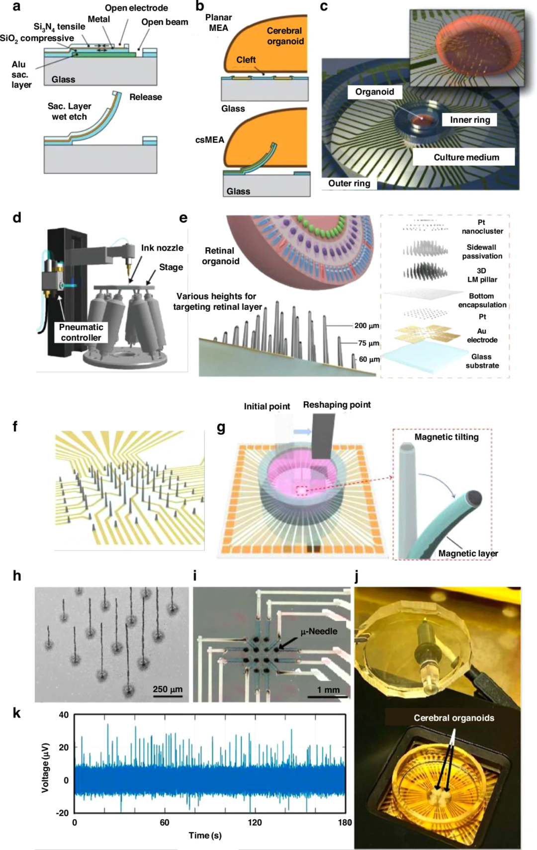 图 4:微针电极的结构与应用