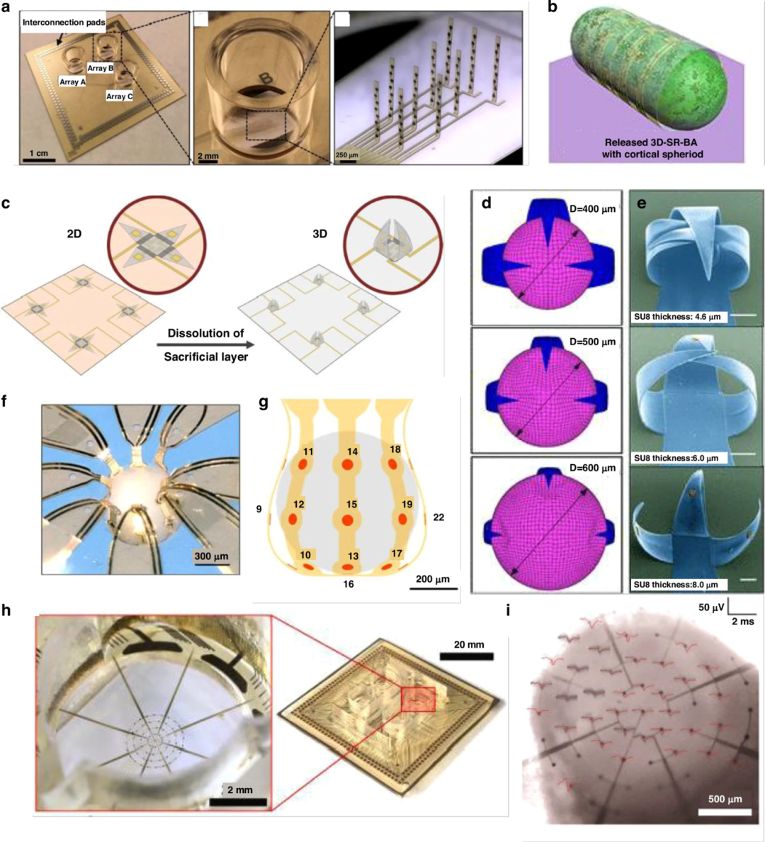 图 5:柔性界面与支架