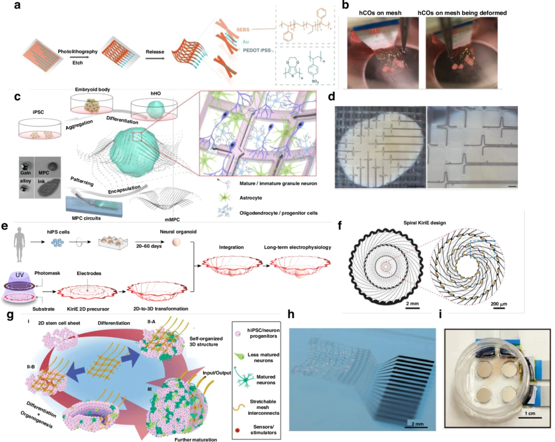 图 6:可拉伸网格 MEA