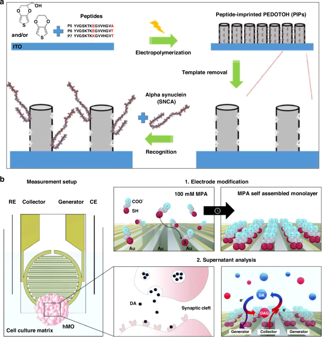 图 8:电化学传感器