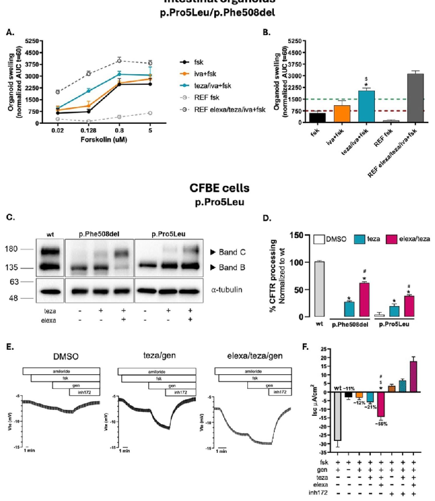 图 1：p.Pro5Leu 变异体的调节剂反应