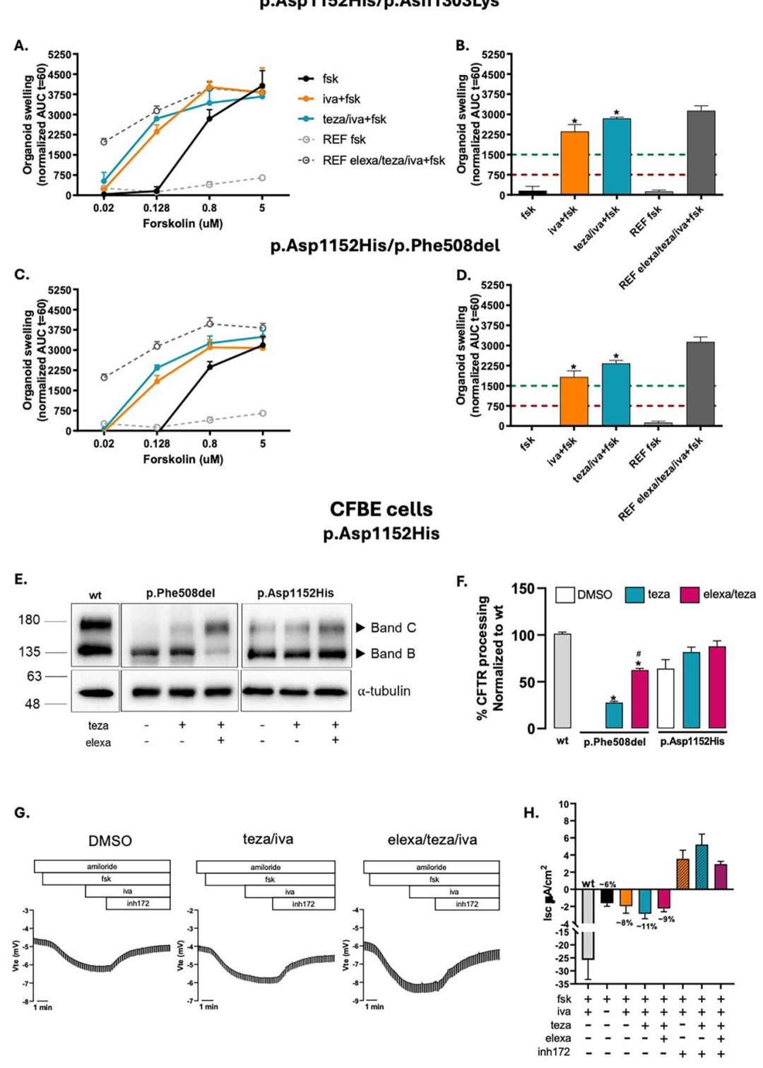 图 8：p.Asp1152His 变异体的 iva 特异性拯救
