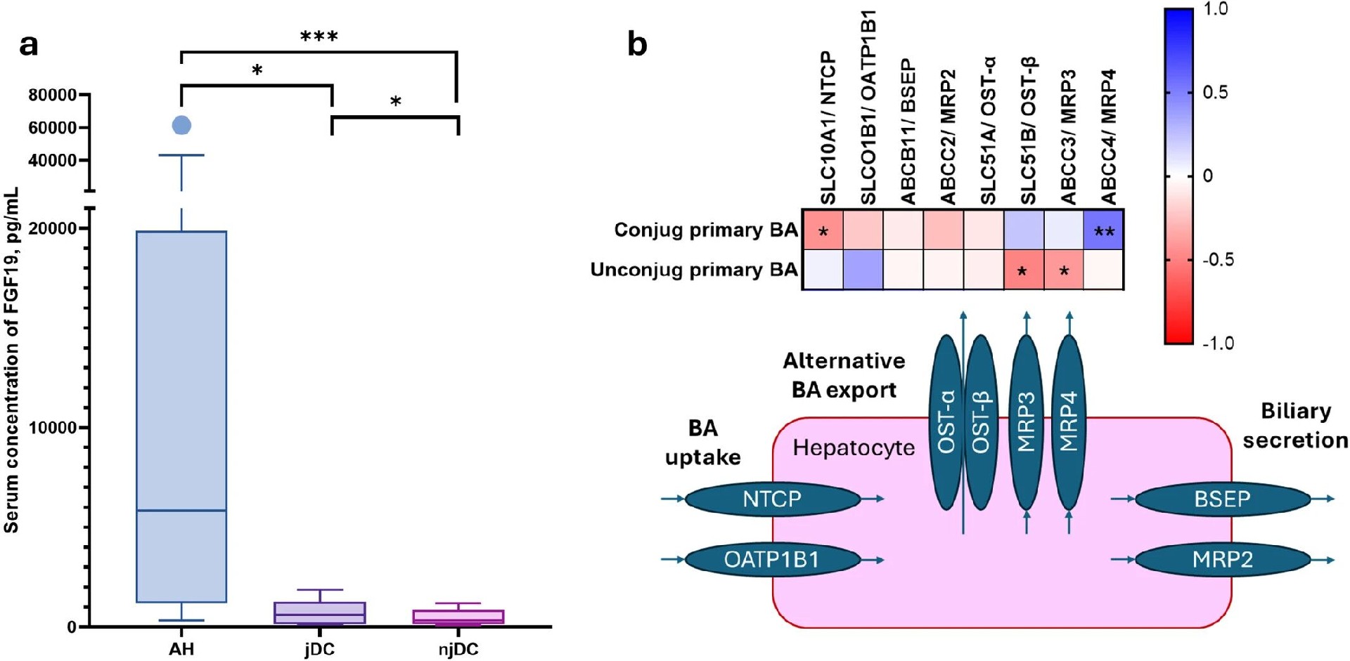 图5：FGF19 升高且胆汁酸转运体表达异常