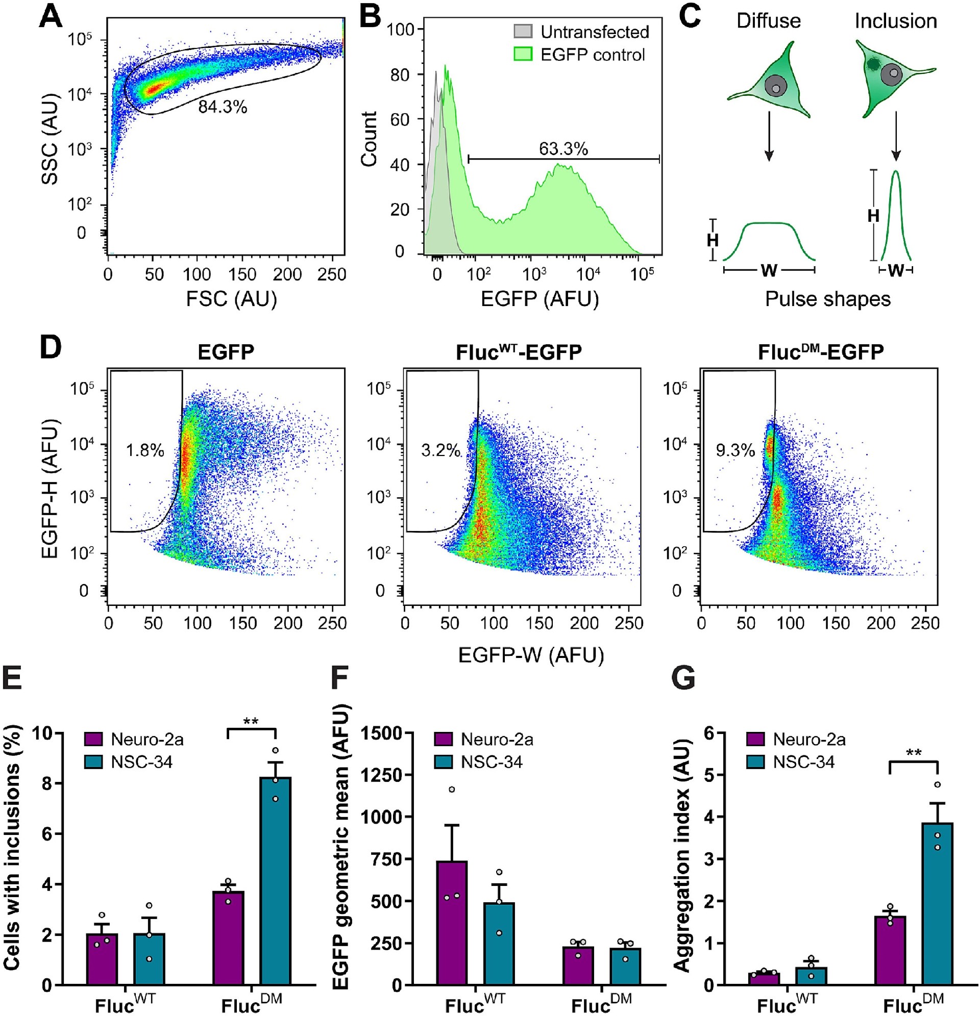 图2：脉冲形状分析(PulSA)评估 Fluc 在 Neuro-2a 和 NSC-34 细胞中介导的包涵体形成