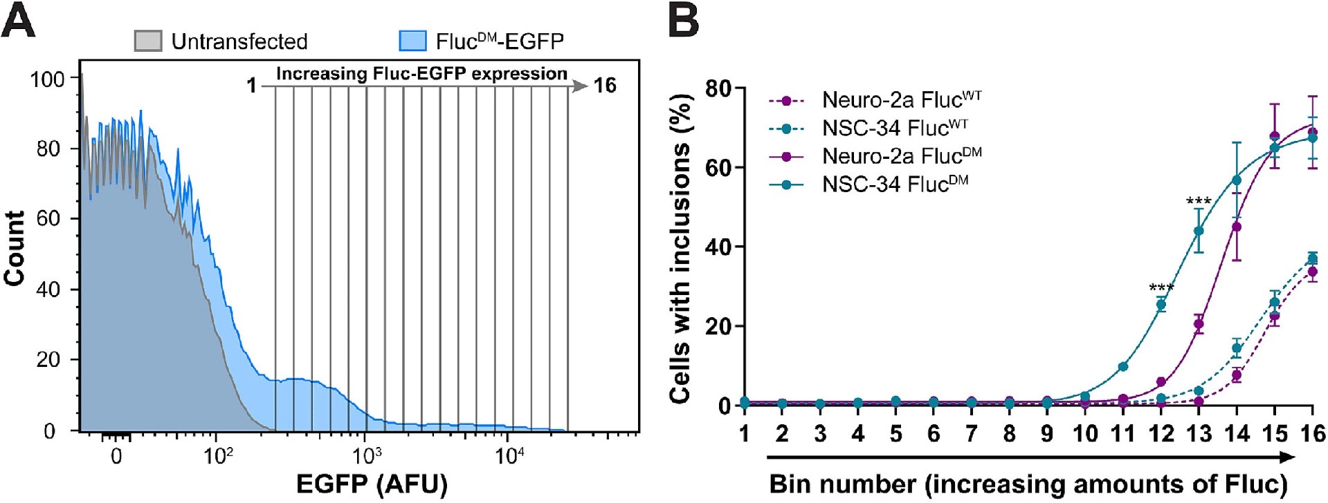 图3：Neuro-2a 和 NSC-34 细胞对 Fluc 基包涵体形成的相对易感性