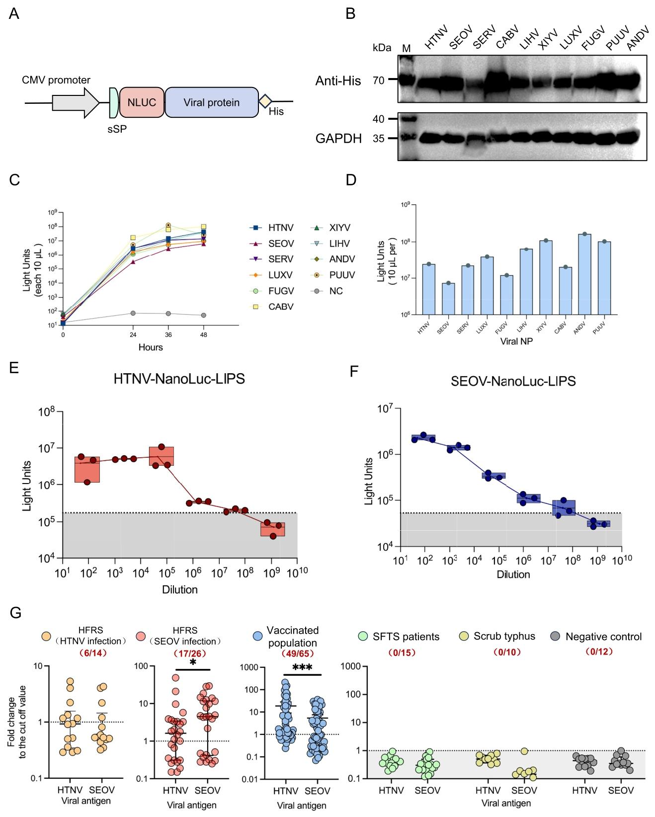 图2：正汉坦病毒 NP-LIPS 检测法的建立与性能评估