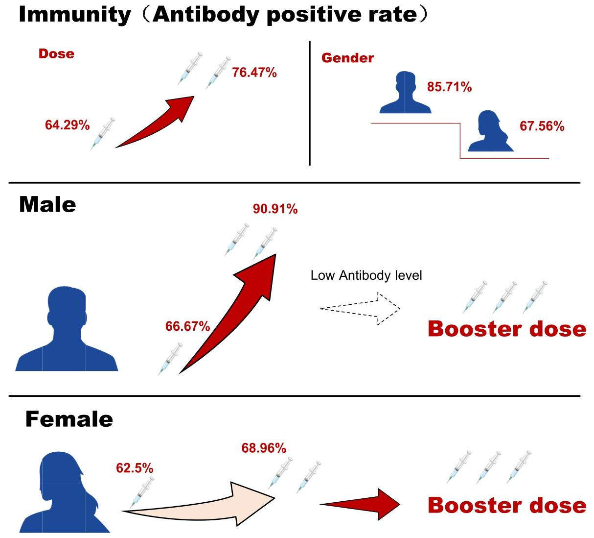图4：疫苗剂量和性别对抗体应答的影响