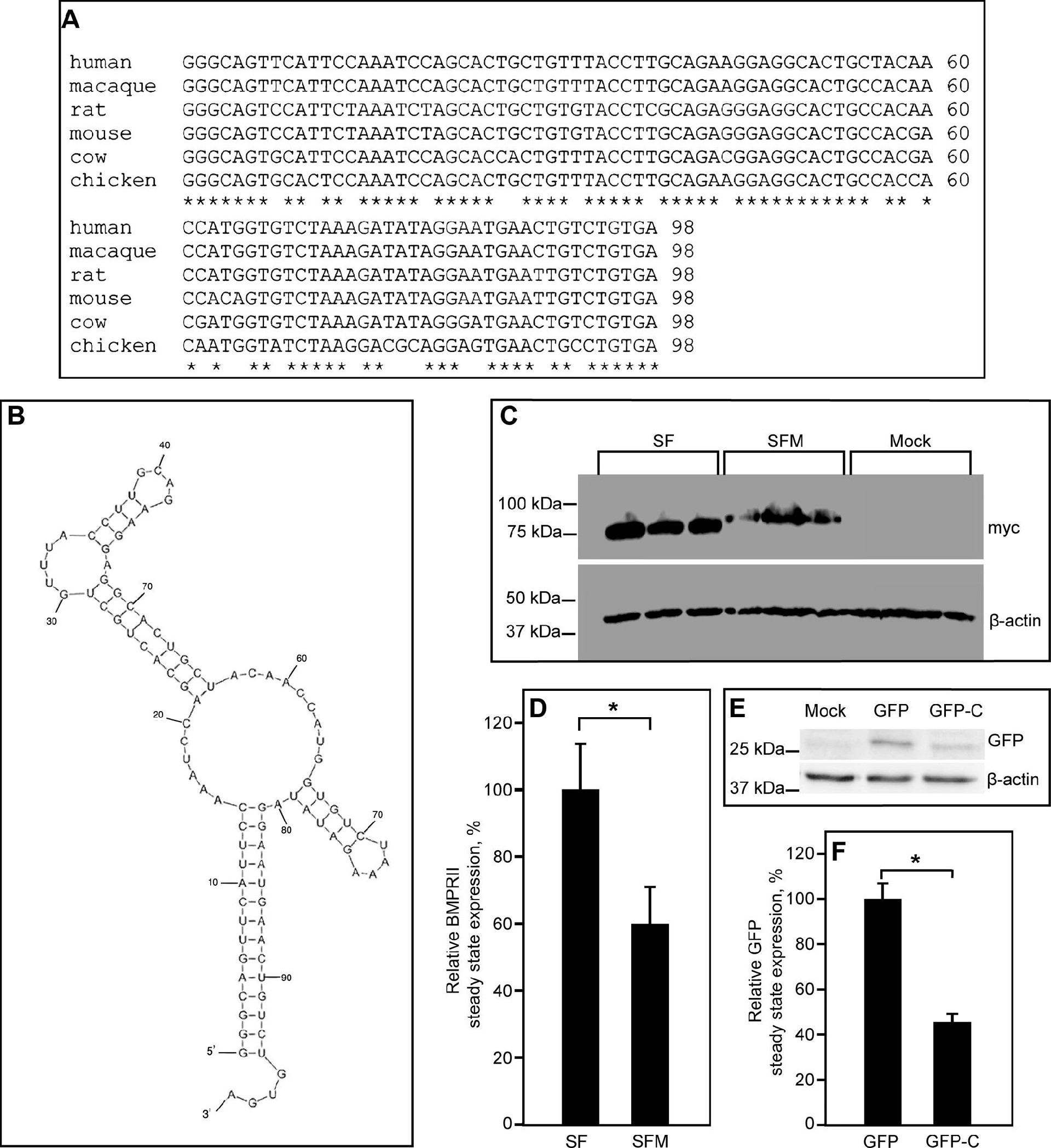 图3：BMPRII-LF 的 3’编码序列对表达的抑制作用
