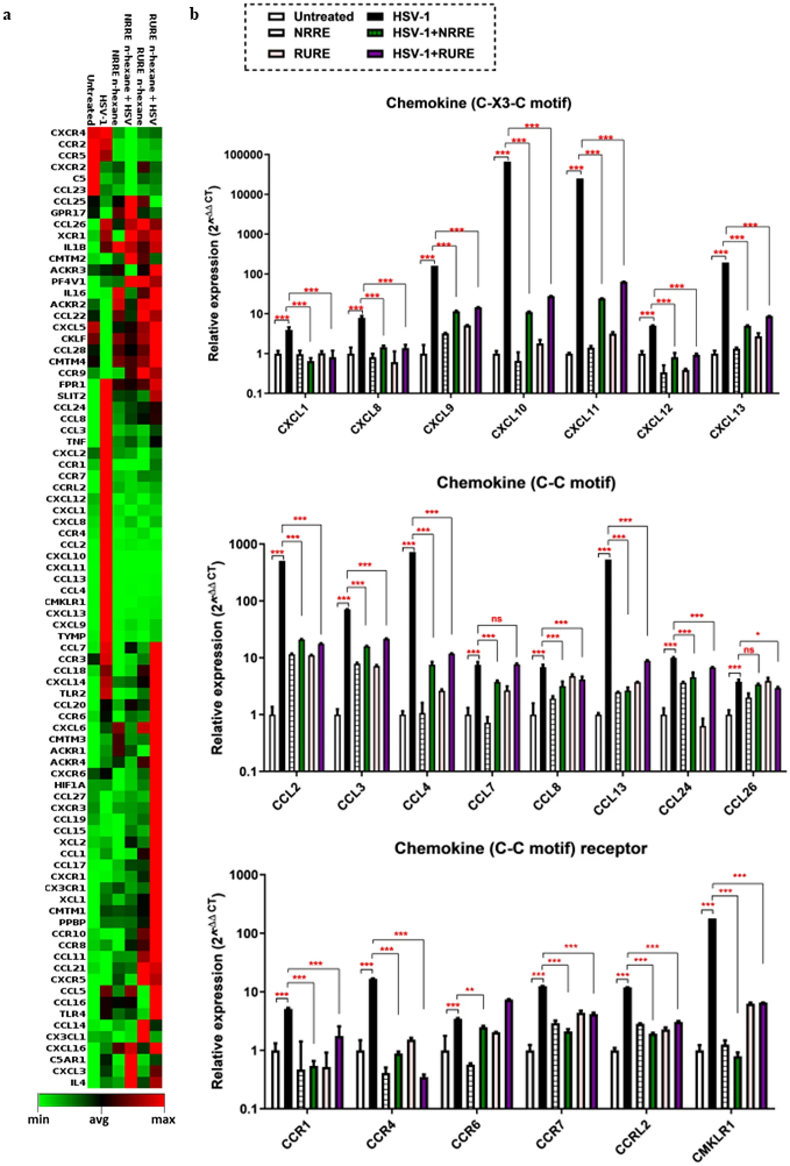 图2 NRRE/RURE 广谱调控 THP-1 细胞中 HSV-1 诱导的趋化因子谱