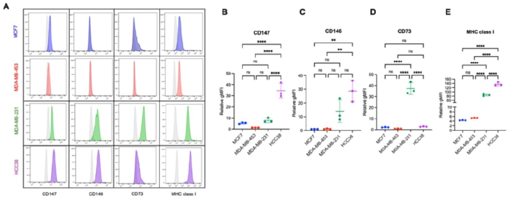 图1：乳腺癌细胞系表面分子表达差异