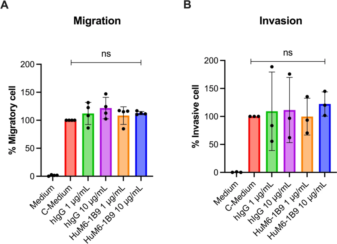 图8：HuM6-1B9 不影响 TNBC 迁移与侵袭