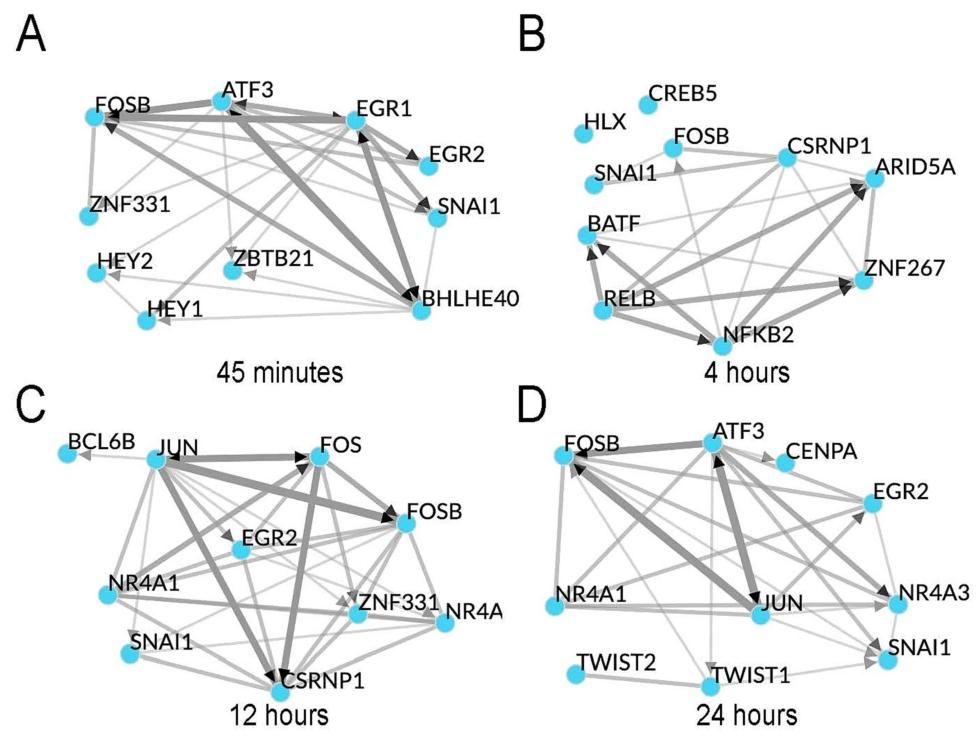 图3：核心转录因子(TF)网络