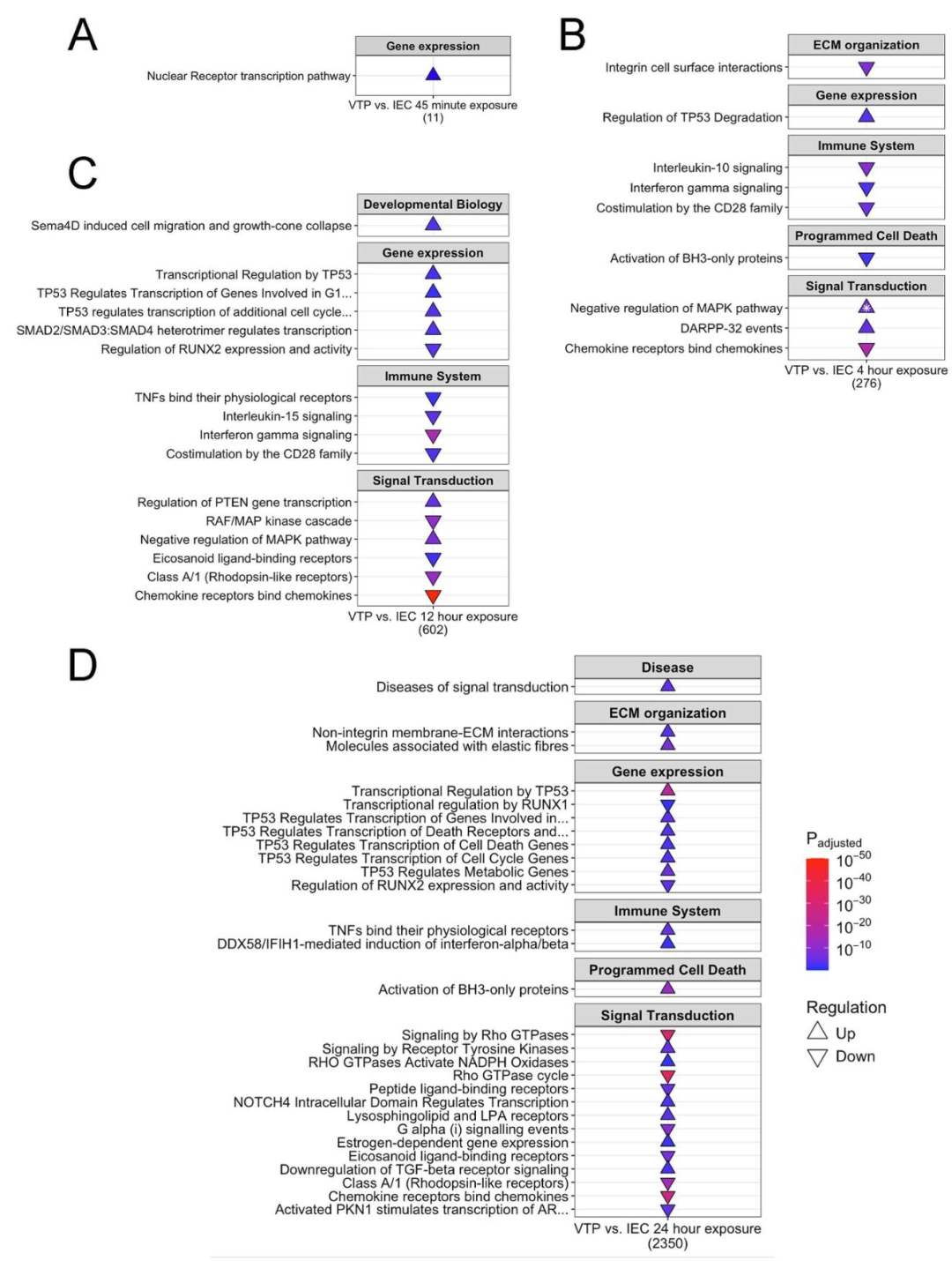 图5-7：通路富集与 hallmark 基因集分析