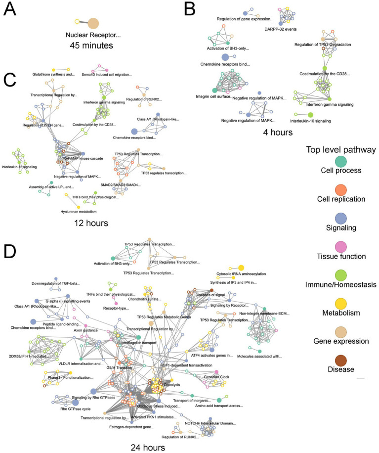 图5-7：通路富集与 hallmark 基因集分析